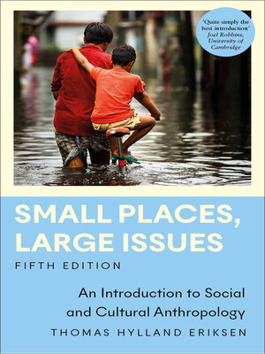 cover image of Small Places, Large Issues